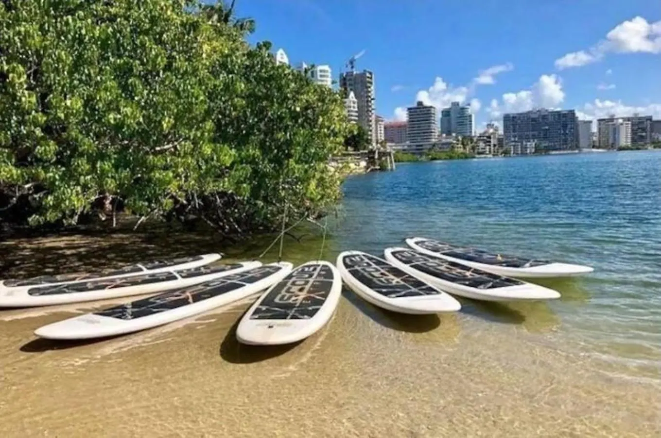 Pr Rentals Beach Front Penthouse A 604 Сан-Хуан Пуэрто-Рико